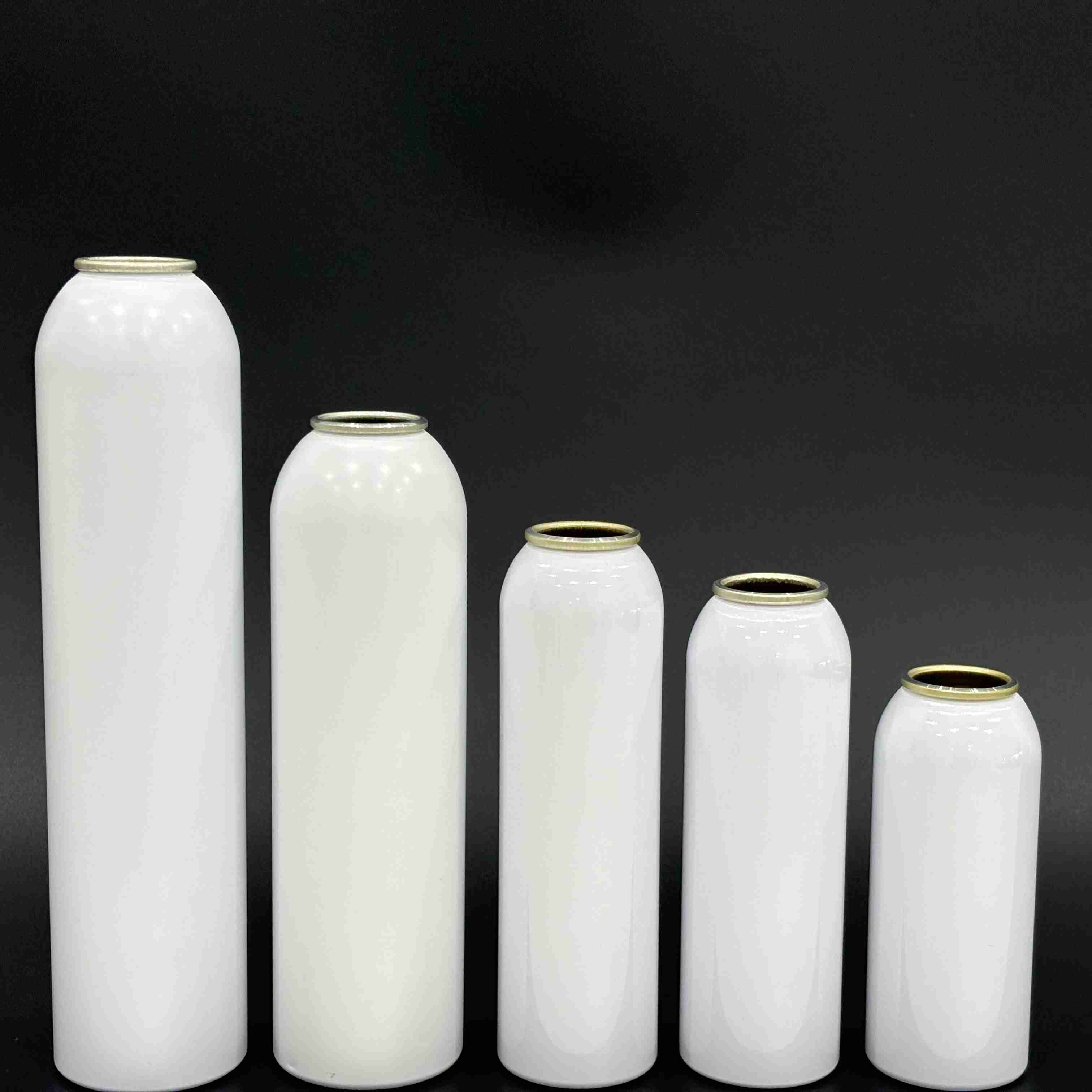 aerosol aluminum cans