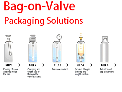 Custom Bag-on-Valve Packaging Solutions for Food, Pharma & Cosmetics | 10+ Years OEM Expertise